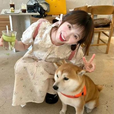 能召回前世的布米叔叔